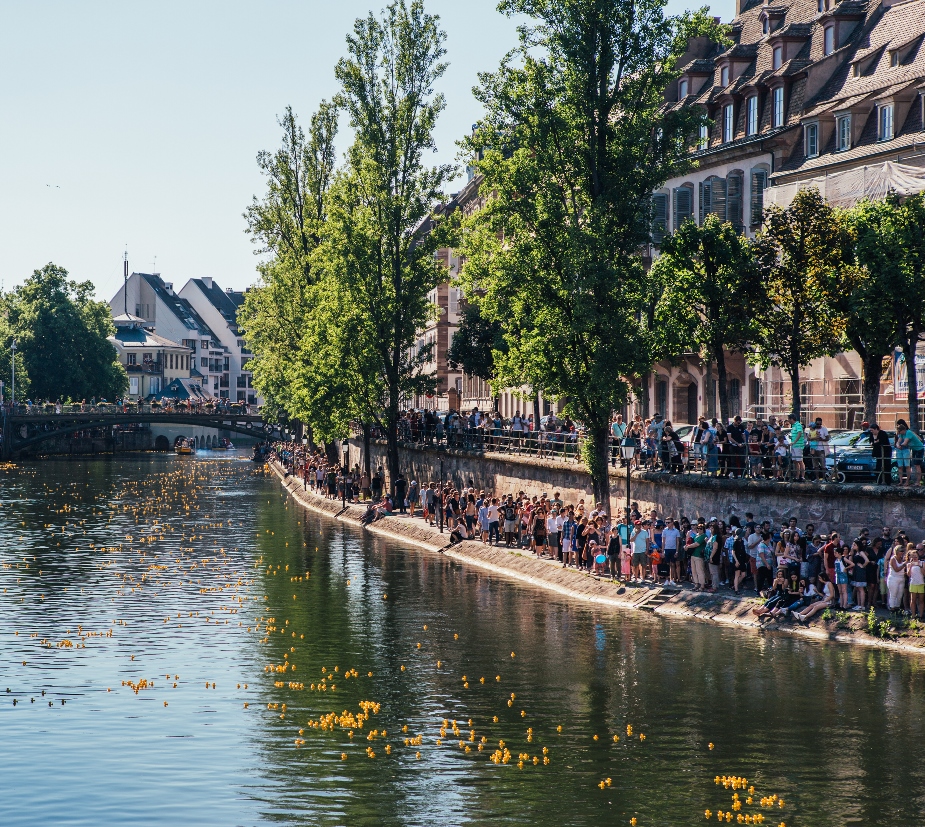 Strasbourg organise Duck-Race Strasbourg organise Duck-Race