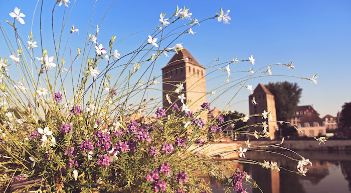 Printemps, Strasbourg Printemps, Strasbourg