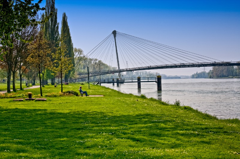 Passerelle Mimram enjambant le Rhin au Jardin des Deux Rives Passerelle Mimram enjambant le Rhin au Jardin des Deux Rives