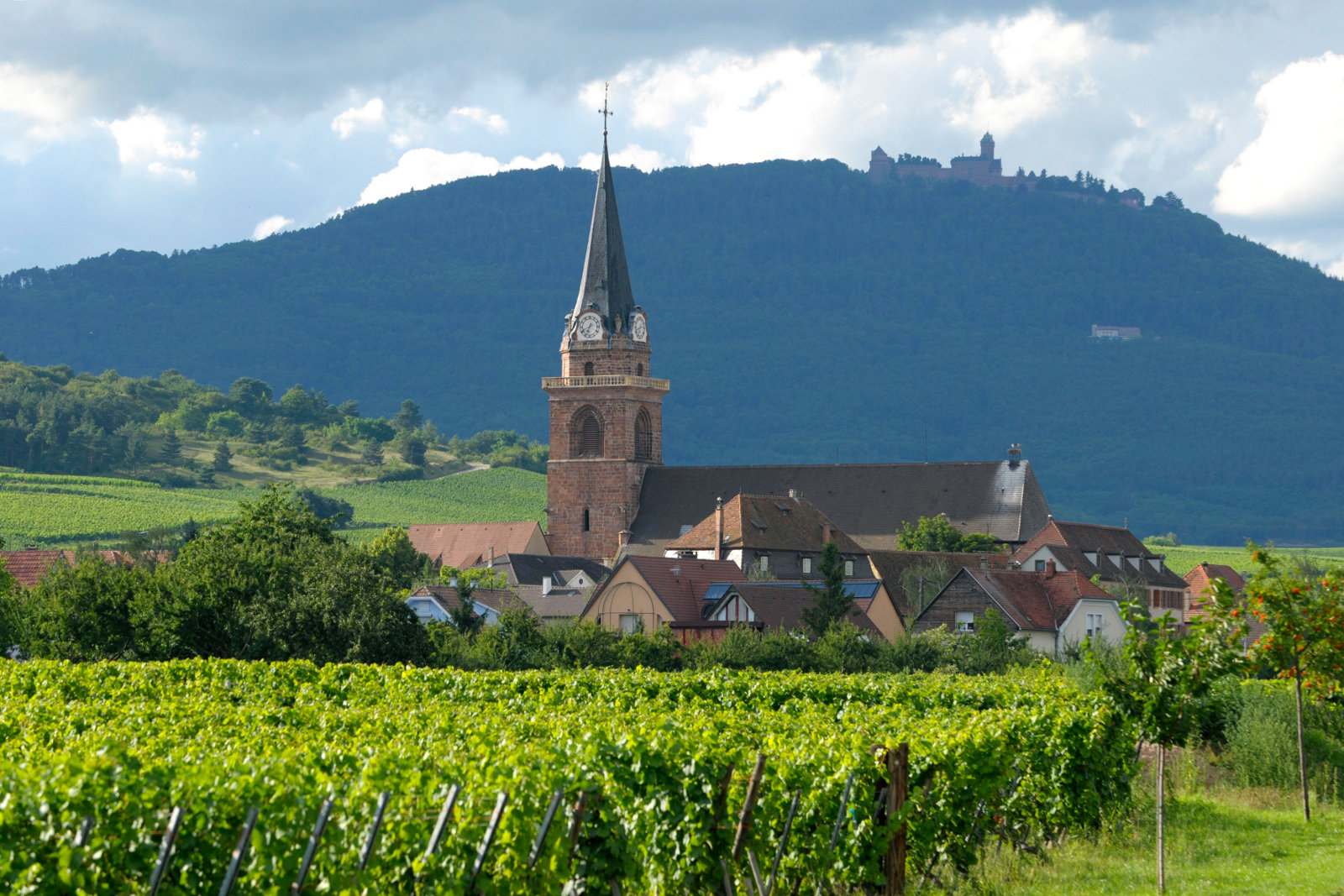 Bergheim sur la Route des vins d'Alsace Bergheim sur la Route des vins d'Alsace