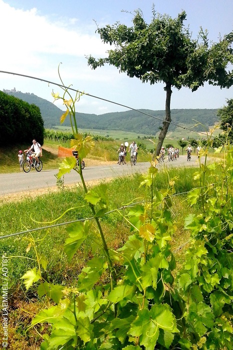 @ ADT 67 Slow up Alsace 2016