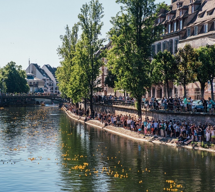 Première Duck-Race de Strasbourg Duck-Race à Strasbourg par Batorama