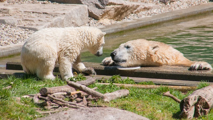Le zoo de Mulhouse en Alsace