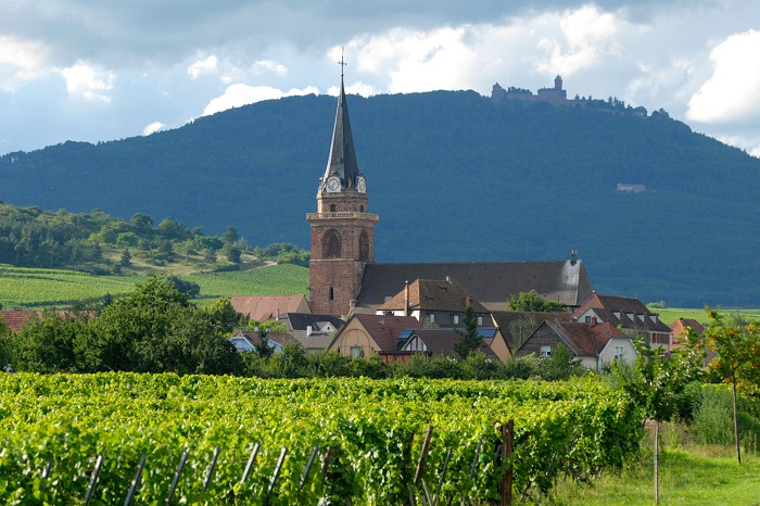 Bergheim sur la Route des vins d'Alsace Bergheim sur la Route des vins d'Alsace