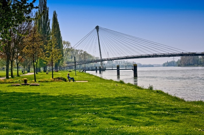 Passerelle Mimram enjambant le Rhin au Jardin des Deux Rives Passerelle Mimram enjambant le Rhin au Jardin des Deux Rives