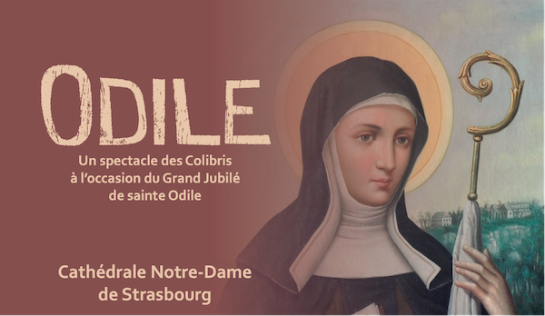 Odile, le spectacle des colibris à la Cathédrale de Strasbourg