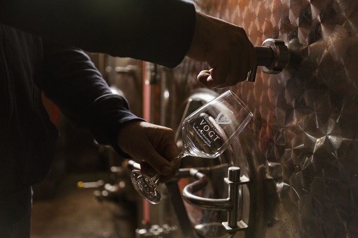Dégustation de vin du domaine Vogt