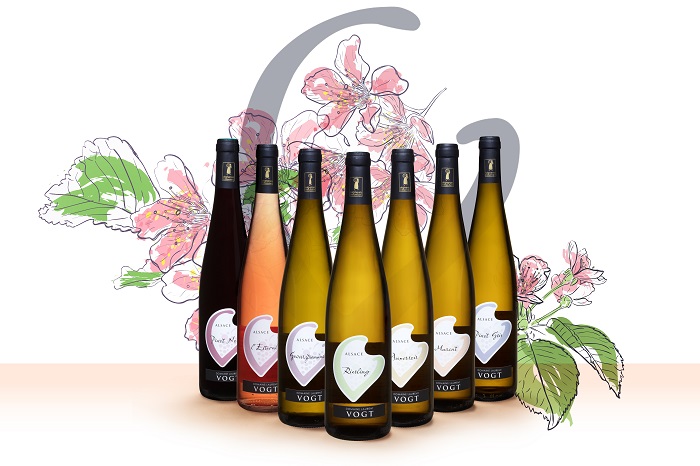 Vin blancs du domaine vogt