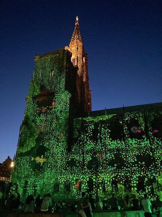 Illuminations Cathédrale Strasbourg - L'été à Strasbourg