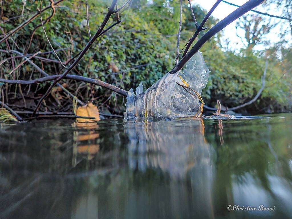 © Christine Bosse Des déchets de plus en plus présents dans l'eau