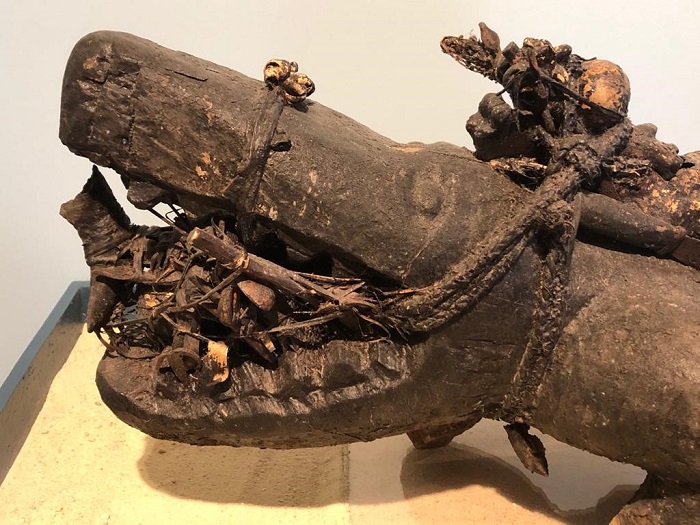 Cette pirogue-crocodile composée de bois, de crâne, de vautour, d'os et de calebasses, figure le voyage des esprits aquatiques hors de l'eau - © Lucie Michel Exposition temporaire sur les pirogues Todjivu au musée Vodou
