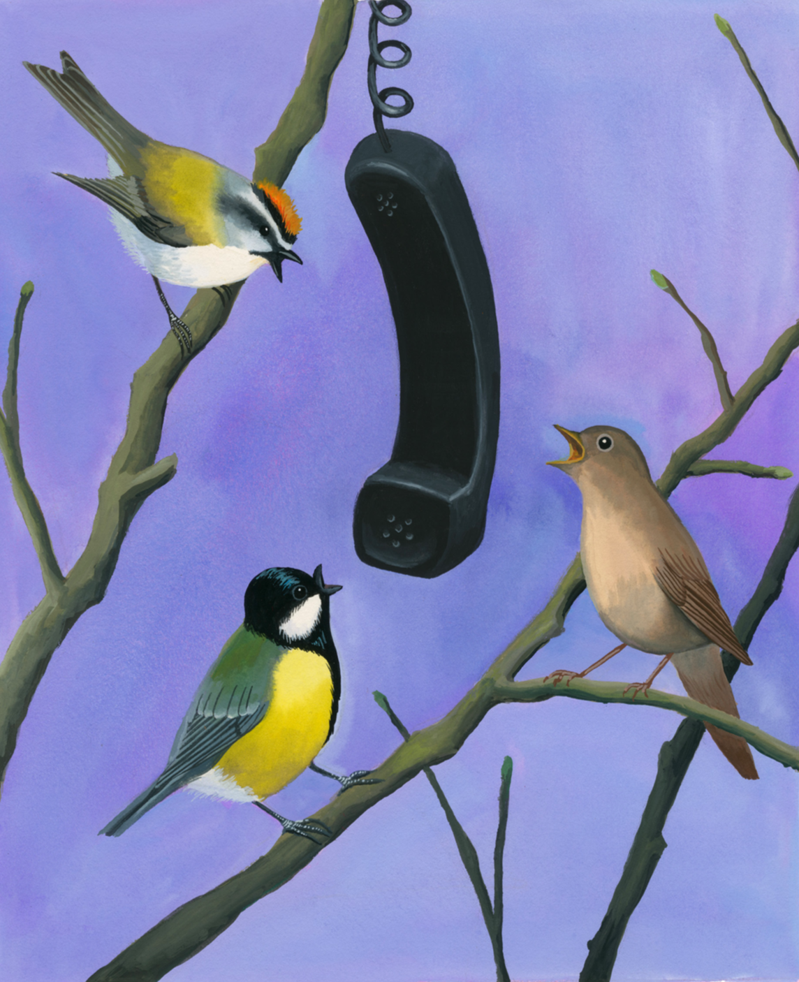 L'illustratrice Maite Grandjouan signe l'affiche de l'opéra « Les oiseaux » pour l'Opéra national du Rhin.