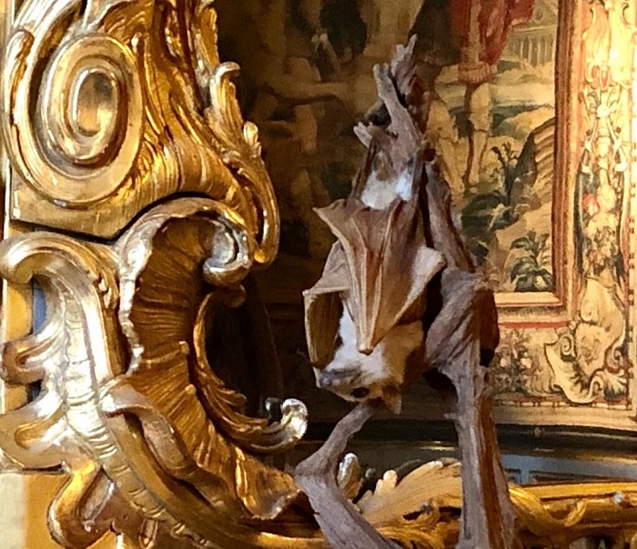 Symbole de la nuit dans la chambre du roi © M. Bertola Symbole de la nuit dans la chambre du roi
