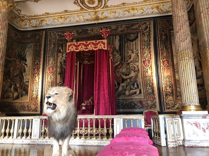Dans la chambre du Roi, un lion de l'Atlas, espèce aujourd'hui disparue © Lucie Michel Dans la chambre du Roi, un lion de l'Atlas, espèce aujourd'hui disparue