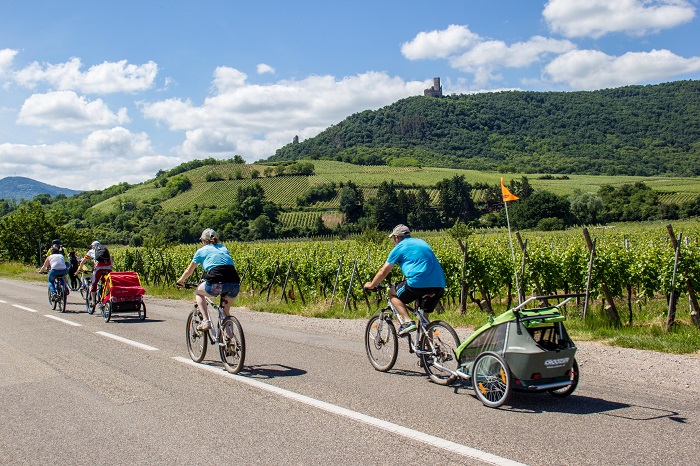 Sur les routes du SlowUp Alsace en famille ou entre amis. © D. LETT - ADT Sur les routes du SlowUp Alsace en famille ou entre amis. © D. LETT - ADT