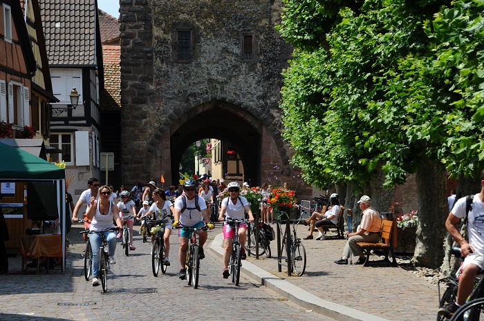Les participants au slowUp 2022 passeront notamment par le quartier de la Porte Haute de Bergheim © C.FLEITH-ADT Porte Haute Bergheim slowUp