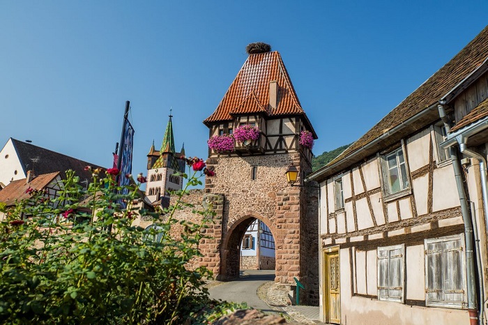 De la Tour des Sorcières © Tristan Vuano - Visit Alsace De la Tour des Sorcières