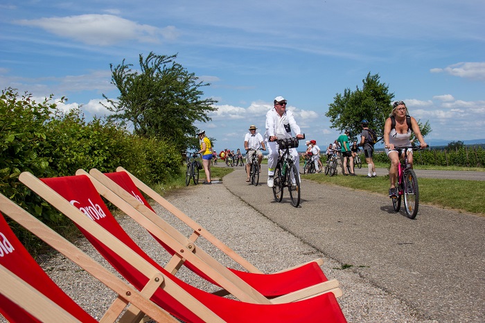 Plus de 40 000 participants sont attendus le 5 juin entre Dambach-la-ville et Bergheim, en passant par Châtenois et Sélestat © D. LETT - ADT Plus de 40 000 participants sont attendus le 5 juin entre Dambach-la-ville et Bergheim, en passant par Châtenois et Sélestat © D. LETT - ADT