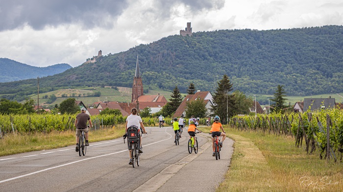 Le plaisir simple de pédaler au milieu des vignes © CC-Selestat – R. Schmitt Le plaisir simple de pédaler au milieu des vignes © CC-Selestat – R. Schmitt