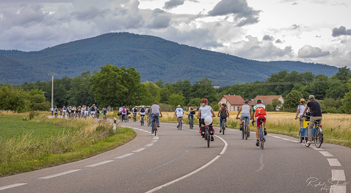 La 8e édition du slowUp Alsace a tenu toutes ses promesses © CC-Selestat – R. Schmitt La 8e édition du slowUp Alsace a tenu toutes ses promesses © CC-Selestat – R. Schmitt