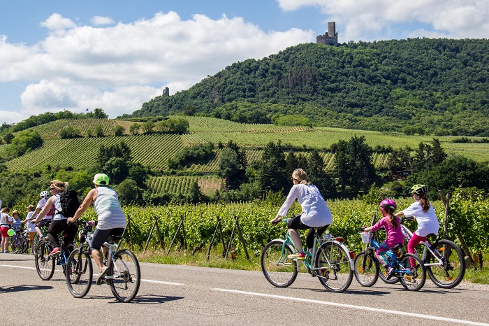 La 8e édition du slowUp Alsace fait son grand retour le 5 juin 2022 © D. LETT - ADT La 8e édition du slowUp Alsace fait son grand retour le 5 juin 2022 © D. LETT - ADT