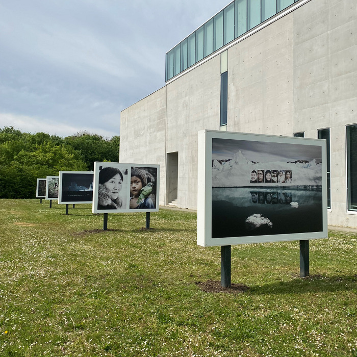 Exposition Tropic Ice de Barbara Dombrowski au Musée Würth © Musée Würth Exposition Barbara Dombrowski au Musée Würth