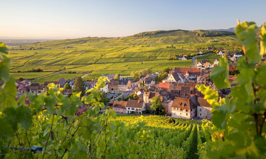 Si vous passez par Riquewihr, c’est notamment l’occasion de participer à de nombreuses balades ludiques. © ADT Batorama- Fascinant Week-end Vignobles & Découvertes