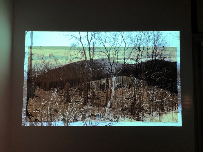 Œuvre de 2018, cette marqueterie sert de support à une vidéo, leçon d’une histoire sanglante. ©Lucie Michel Batorama - Museé Alsacien