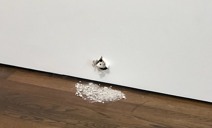 Créée en 2019, cette souris-robot est devenue une star du monde de l’art international, qui entre ici en confrontation avec la nature morte de la célèbre bougie de Gerhard Richter. Musée Burda - souris-robot