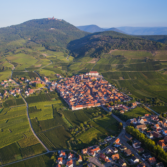 Saint-Hippolyte - L’occasion de découvrir des paysages extraordinaires, dans le vignoble Saint-Hippolyte Slowup