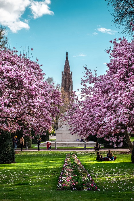 Strasbourg - Place de la République au printemps © Paul Prim - OTSR Strasbourg - Place de la République au printemps © Paul Prim - OTSR