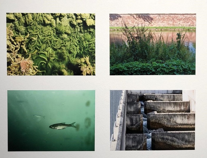 Une série de photos du collectif Colléidoscope sur le thème de l’eau, au 5e Lieu. Exposition Port Autonome de Strasbourg