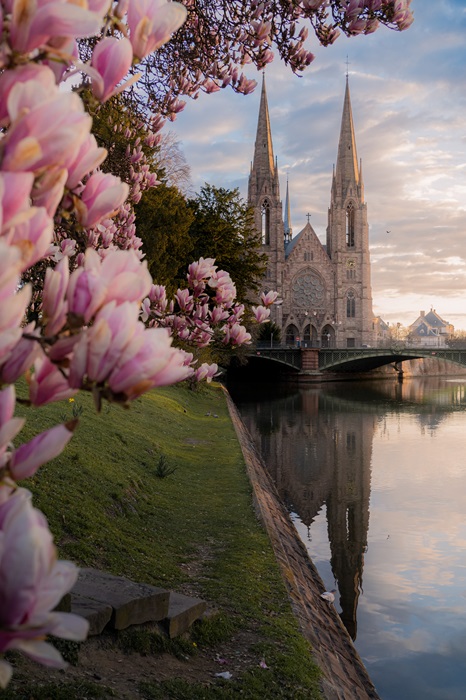© Damien Maurin photographie Lancement NAO fleurs