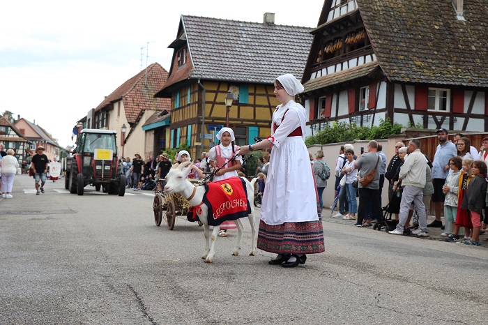 Fête de la choucroute 