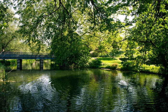 Une balade nature au parc de la Citadelle © Philemon Henry Parc de la Citadelle