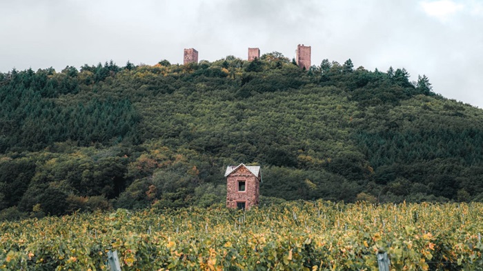 Trois châteaux d'Eguisheim © visitalsace Trois châteaux d'Eguisheim