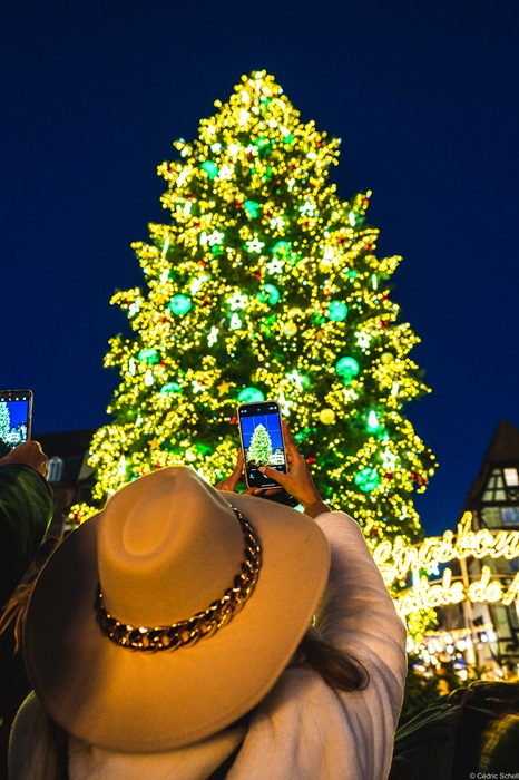 Le sapin du marché de Noël de Strasbourg, Place Kléber