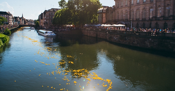 Duck-Race de Strasbourg avec Batorama